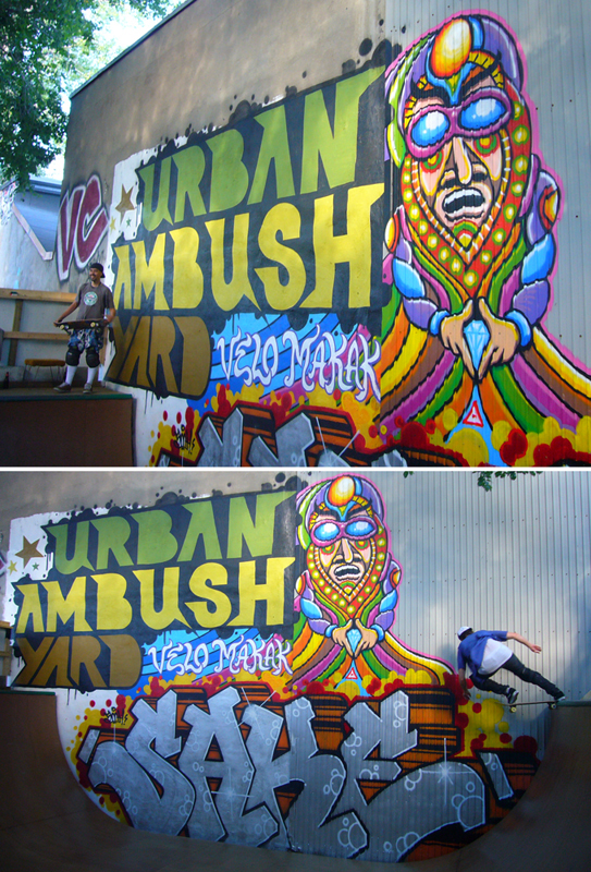 Skate Murals 2010
